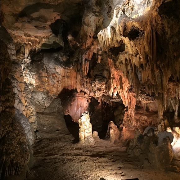 Meet your Posher, Florence - Picture 2 of 8